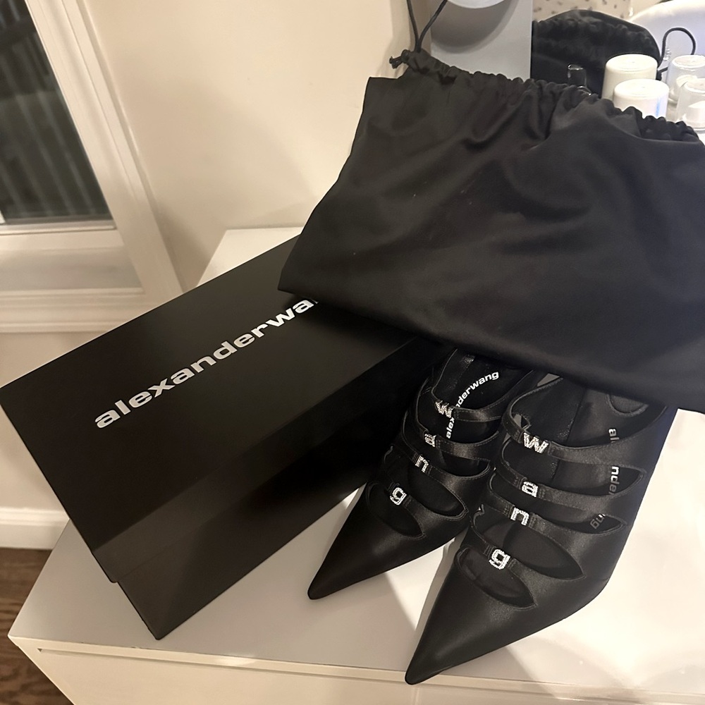 Alexander Wang Lolita 105 mules brand new never worn
